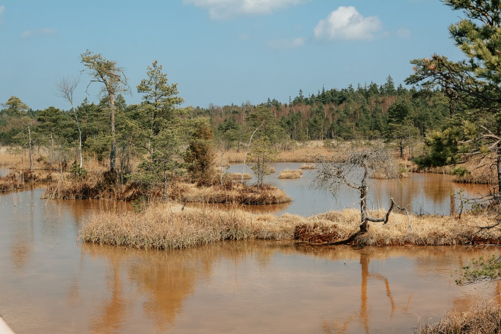 pasakumufoto-dabassportazale-28