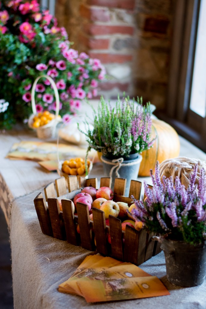 pasakumufoto-eka-projekts-4