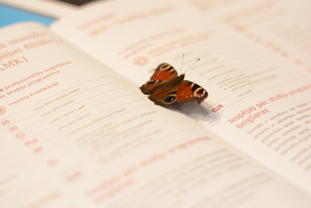 pasakumufoto-skola-2015-rsu-12